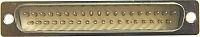 D-SUB Stecker   37 pol.