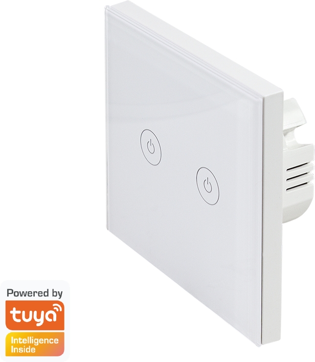 WiFi Smart Wandschalter 2-fach, WiFi 2.4GHz 802.11b/g/n, OHNE IP20: Schutz, Tuya kompatibel